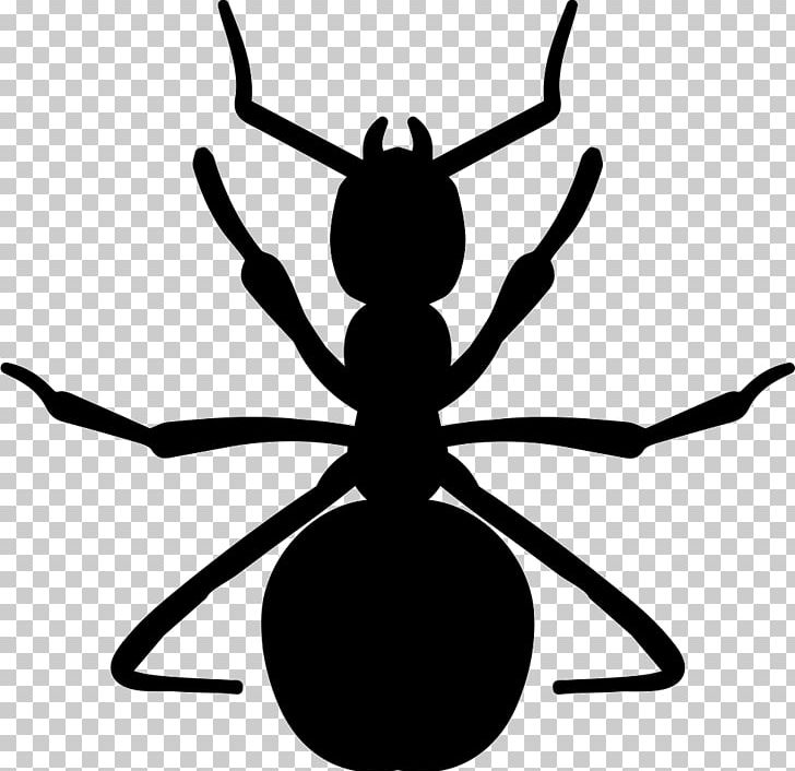 Ant Insect Arthropod Graphics PNG, Clipart, Animal, Animals, Ant, Arthropod, Artwork Free PNG Download