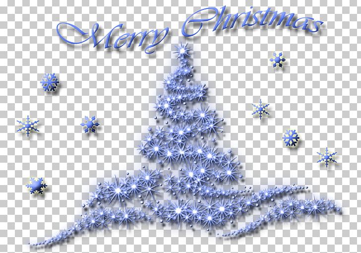 Christmas Tree Jewellery Christmas Day Christmas Ornament Fir PNG, Clipart, Blue, Body Jewellery, Body Jewelry, Christmas, Christmas Day Free PNG Download