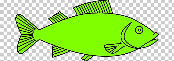 Fish Drawing Outline PNG, Clipart, Art, Artwork, Bass, Drawing, Fauna Free PNG Download