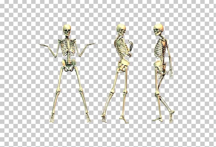 Human Skeleton PNG, Clipart, Cartoon Skeleton, Costume Design, Dinosaur Skeleton, Display Resolution, Dots Per Inch Free PNG Download