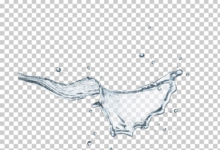 Line Art Water Sketch PNG, Clipart, Animal, Artwork, Black And White, Drawing, Jaw Free PNG Download