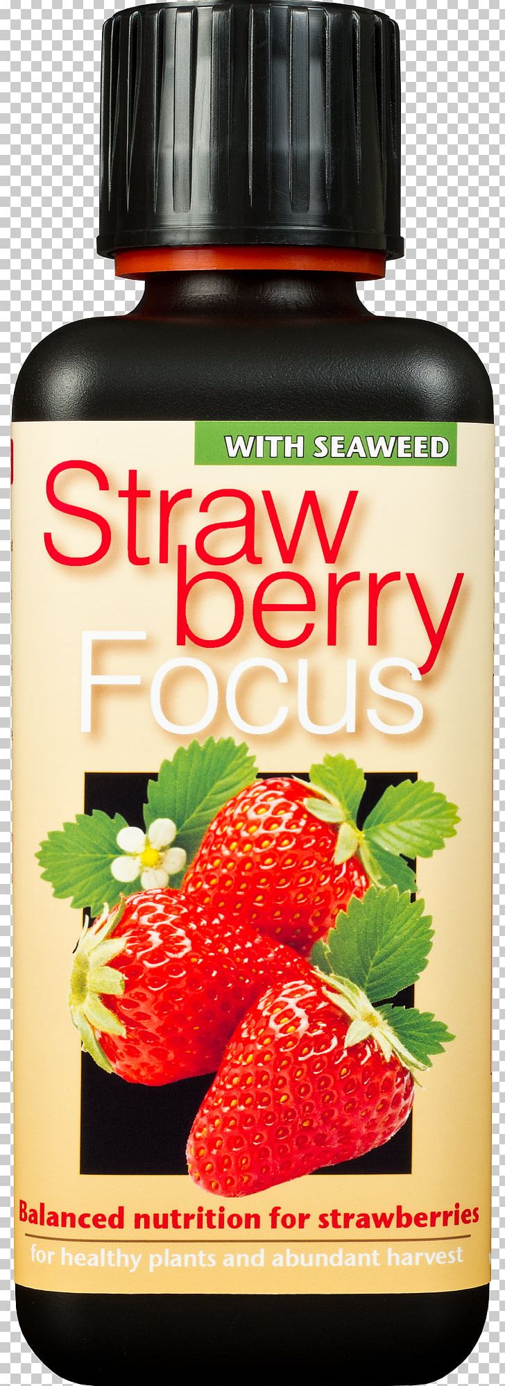 Nutrient Chilli Focus Liquid Feed Concentrate – Growth Technology Limited Strawberry Pineberry Fertilisers PNG, Clipart, Bonsai Cultivation And Care, Concentrate, Fertilisers, Food, Fruit Free PNG Download