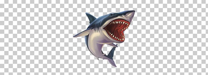 Sharks PNG, Clipart, Sharks Free PNG Download