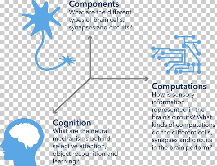 Allen Institute For Brain Science Technology Research Cognitive Science PNG, Clipart, Allen Institute For Brain Science, Angle, Area, Blue, Brain Free PNG Download