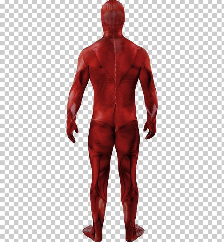 Anatomia Del Corpo Umano Anatomy Muscle Human Body Skin PNG, Clipart, Amazoncom, Anatomy, Arm, Costume, Fictional Character Free PNG Download