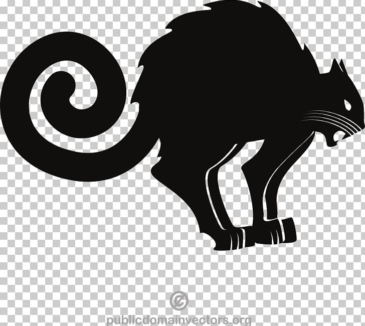 Cat Graphics Euclidean PNG, Clipart, Animals, Black, Black And White, Carnivoran, Cat Free PNG Download