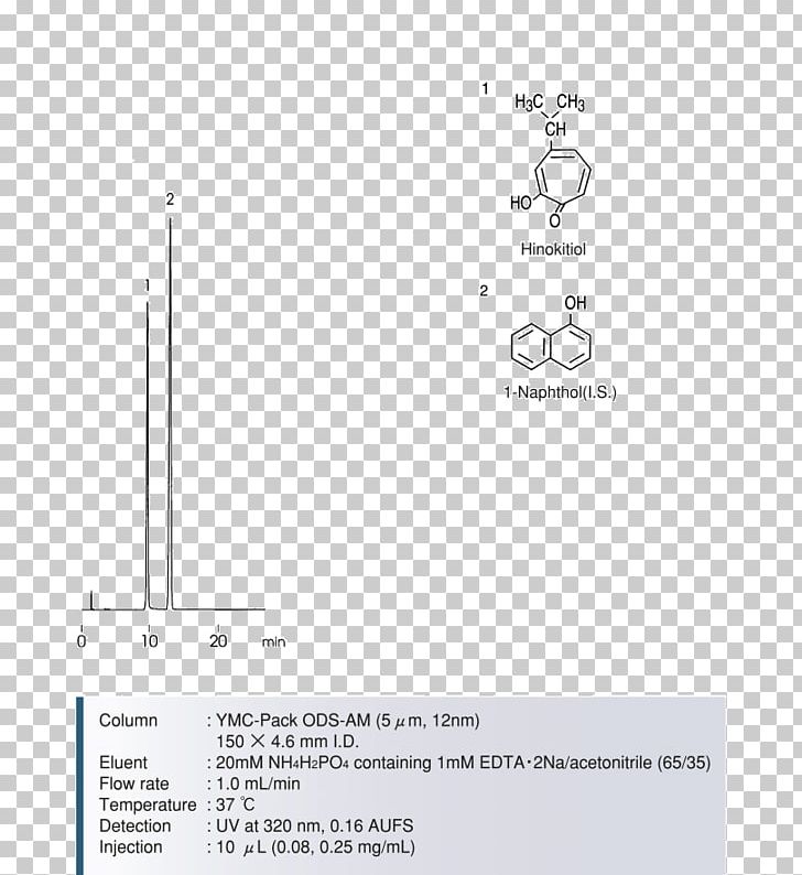 Document Line Angle PNG, Clipart, Angle, Art, Brand, Diagram, Document Free PNG Download