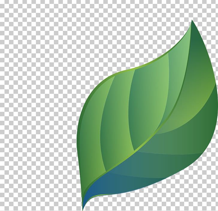 Leaf Green Stencil PNG, Clipart, Blue, Blue Green, Computer Wallpaper, Desktop Wallpaper, Fern Free PNG Download