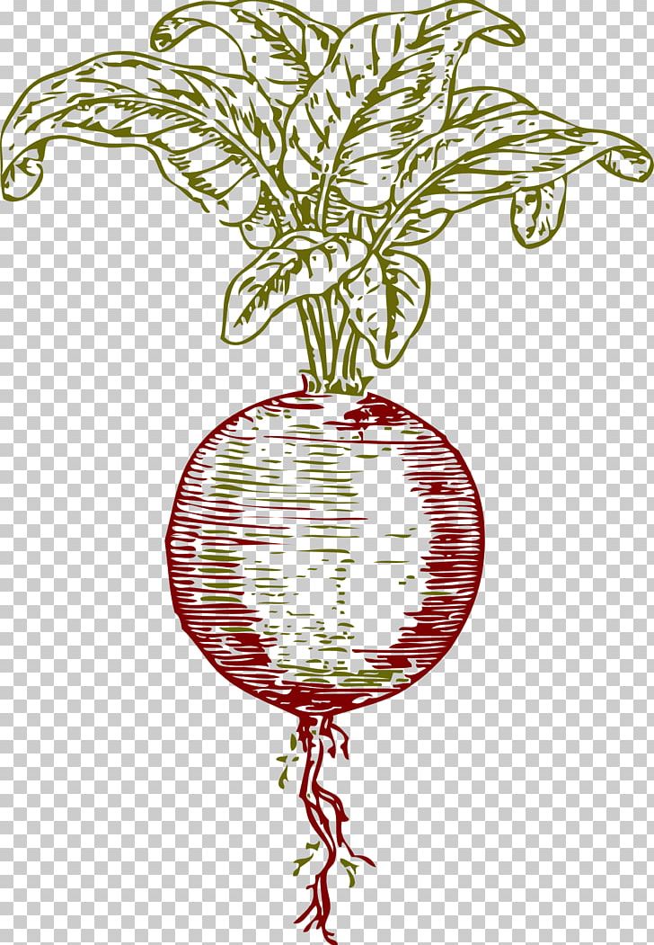 Pomegranate Juice Beetroot Sugar Beet Vegetable PNG, Clipart, Beet, Beetroot, Betanin, Branch, Christmas Ornament Free PNG Download