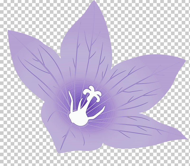 Lavender PNG, Clipart, Balloon Flower, Flower, Lavender, Paint, Petal Free PNG Download