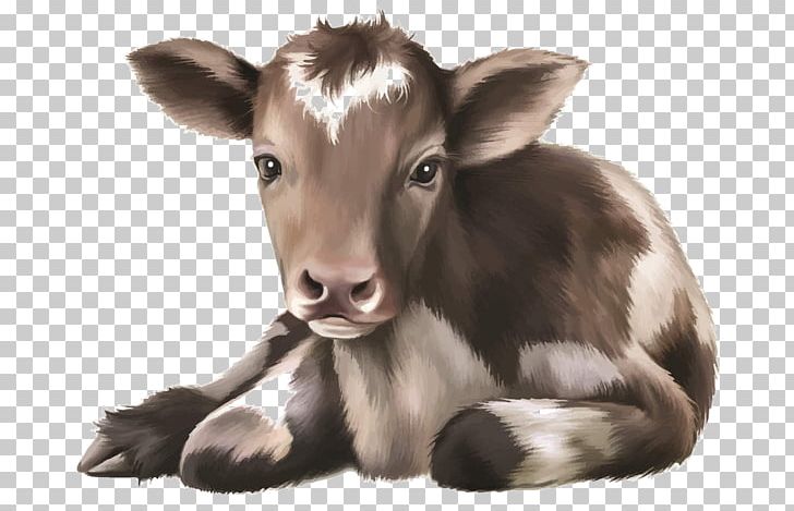 Calf Cattle Infant Illustration PNG, Clipart, Animal, Animals, Black And White, Brown, Cow Goat Family Free PNG Download