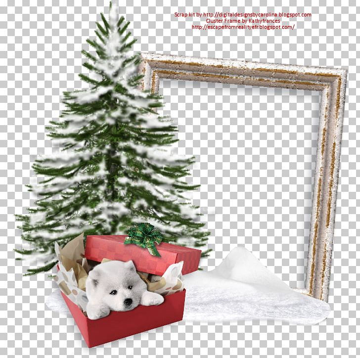 Christmas Ornament Santa Claus Frames Christmas Tree PNG, Clipart, 25 December, Christmas, Christmas, Christmas Decoration, Christmas Ornament Free PNG Download