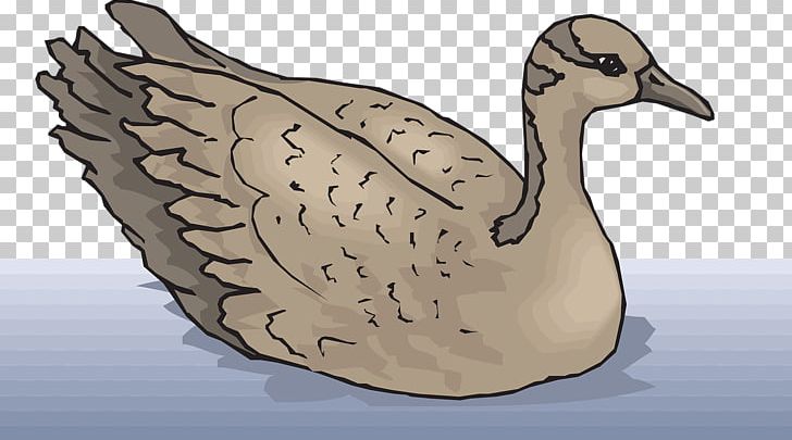 Goose Cygnini Bird PNG, Clipart, Beak, Bird, Cygnini, Download, Duck Free PNG Download