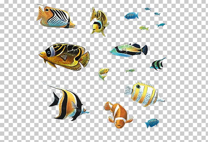 Goldfish Ornamental Fish Animal Aquarium PNG, Clipart, Animal, Animal Figure, Animals, Aquarium, Biology Free PNG Download