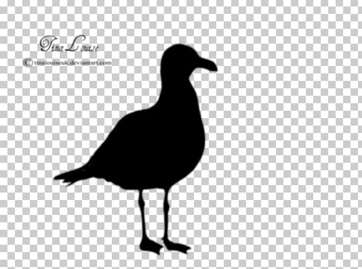 Gulls Silhouette PNG, Clipart, Animals, Beak, Bird, Black And White, California Gull Free PNG Download