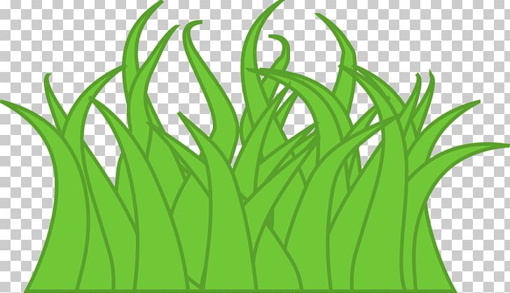 Leaf Presentation Others PNG, Clipart, Art, Commodity, Document, Download, Grass Free PNG Download
