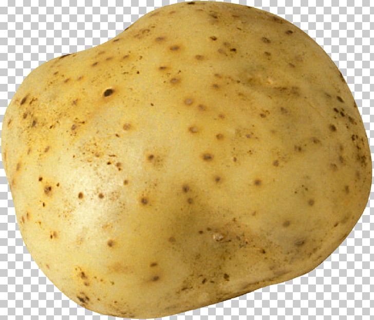 Russet Burbank Potato Encapsulated PostScript PNG, Clipart, Computer Icons, Data Compression, Desktop Wallpaper, Download, Encapsulated Postscript Free PNG Download