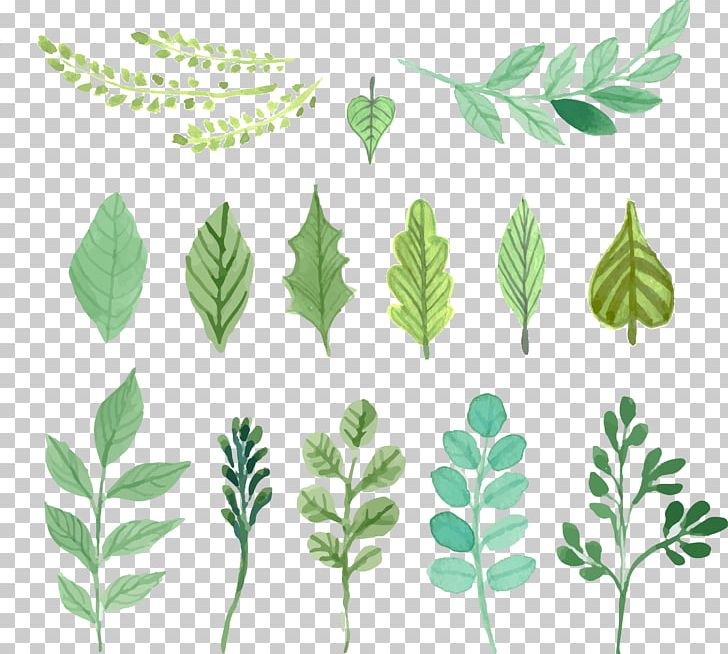 Watercolor Painting Leaf PNG, Clipart, Branch, Decoration, Drawing, Fall Leaves, Flora Free PNG Download