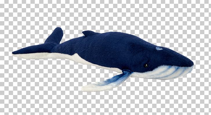 Porpoise Cobalt Blue Cetacea Dolphin PNG, Clipart, Animal Figure, Blue, Cetacea, Cobalt, Cobalt Blue Free PNG Download
