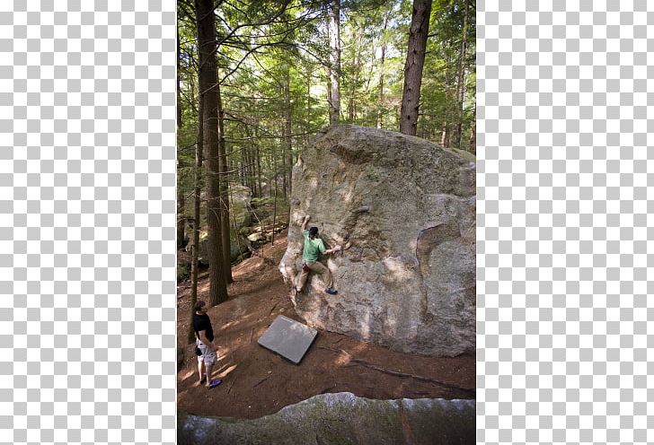 Rock-climbing Equipment Bouldering Outdoor Recreation PNG, Clipart, Bedrock, Boulder, Bouldering, Climbing, Forest Free PNG Download