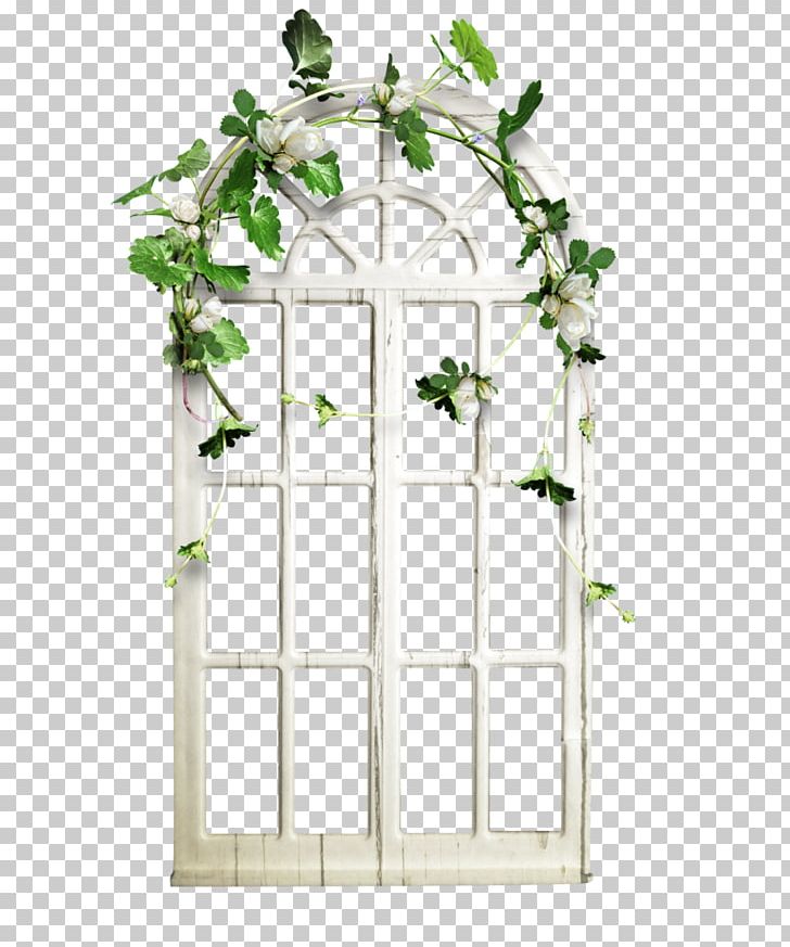 Window PNG, Clipart, Adobe Illustrator, Branch, Download, Encapsulated Postscript, Floral Design Free PNG Download