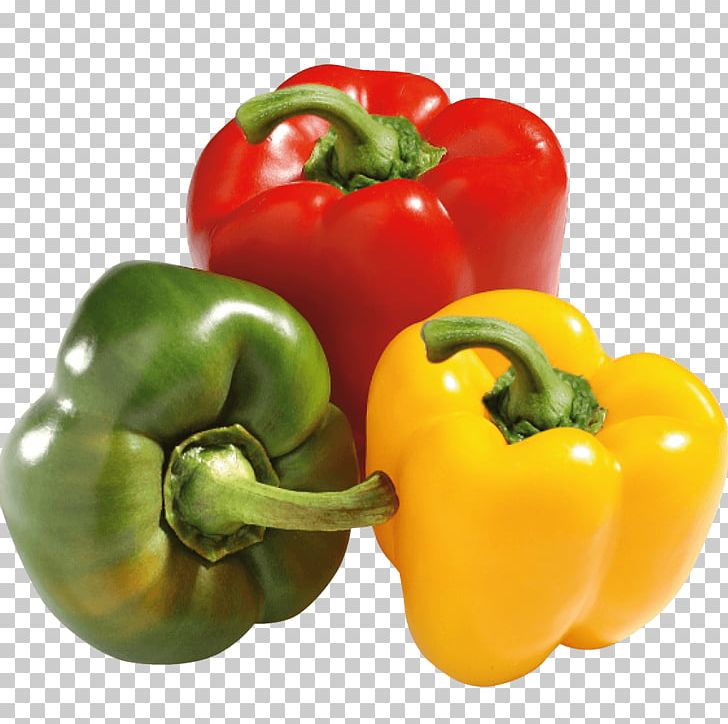 Bell Pepper Mexican Cuisine Serrano Pepper Food Chili Pepper PNG, Clipart, Bell Pepper, Bell Peppers And Chili Peppers, Capsicum, Cayenne Pepper, Chili Pepper Free PNG Download