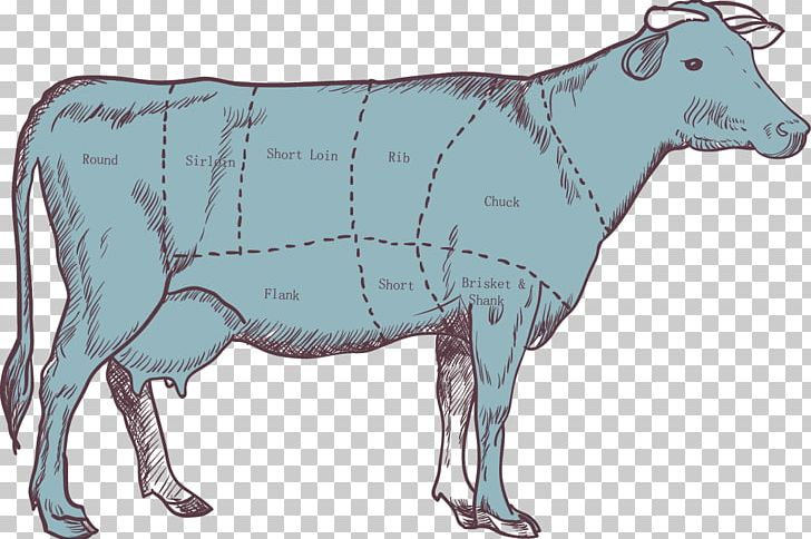 Cattle Calf Beef Meat PNG, Clipart, Auto Parts, Body Parts, Boucher, Brisket, Butcher Free PNG Download