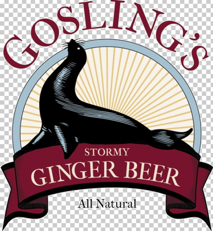 Ginger Beer Fizzy Drinks Dark 'N' Stormy Rum PNG, Clipart,  Free PNG Download