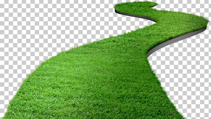 Lawn Computer File PNG, Clipart, Angle, Artificial Turf, Computer File, Decorative Elements, Design Element Free PNG Download