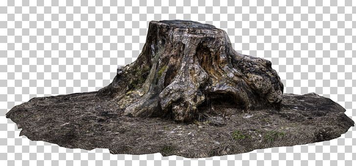 Tree Stump Trunk Driftwood PNG, Clipart, Bedrock, Das Productions Inc, Deviantart, Driftwood, Ground Free PNG Download