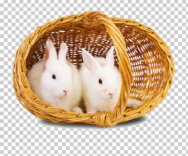 Easter Bunny Rabbit PNG, Clipart, Animals, Basket, Desktop Wallpaper, Domestic Rabbit, Download Free PNG Download