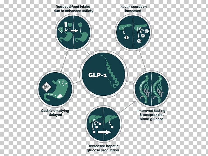 Glucagon-like Peptide-1 Receptor Agonist Diabetes Mellitus Type 2 PNG, Clipart, Agonist, Brand, Carbohydrate, Diabetes, Diabetes Mellitus Free PNG Download