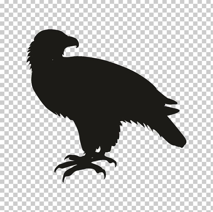 Illustration Graphics Silhouette PNG, Clipart, Aguila, Animals, Beak, Bird, Bird Of Prey Free PNG Download