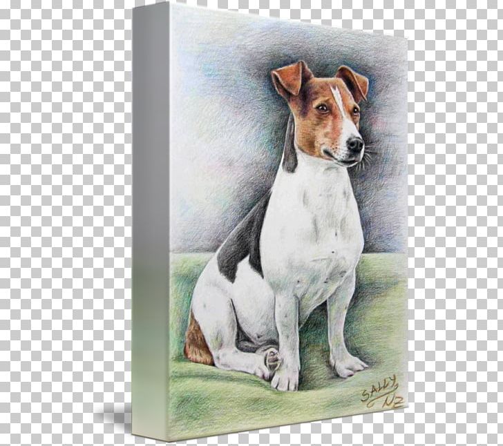 Jack Russell Terrier Dog Breed English Foxhound Puppy Companion Dog PNG, Clipart, Animal, Bark, Carnivoran, Companion Dog, Dog Free PNG Download