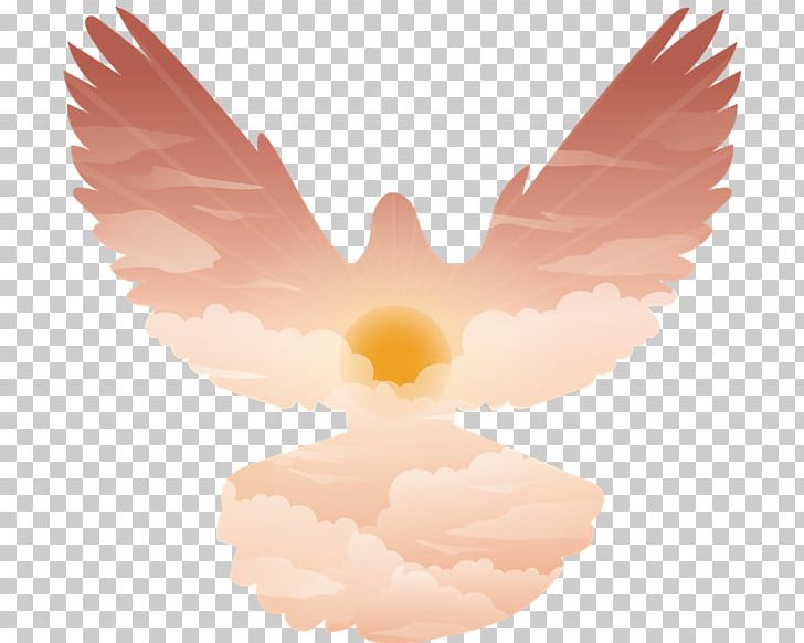 Photography PNG, Clipart, Angel, Beak, God, Graphic Design, Logo Free PNG Download