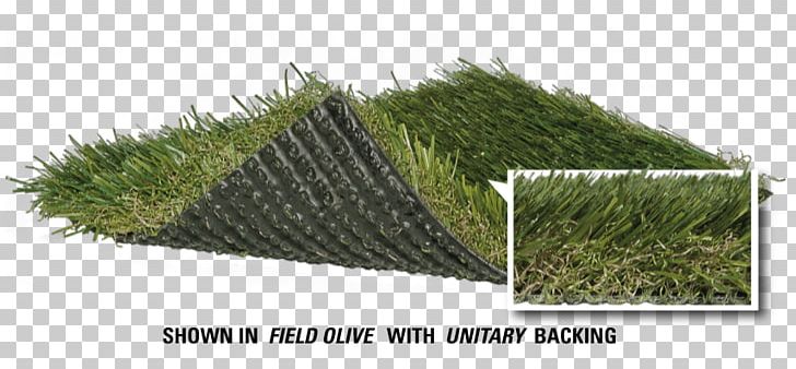 Artificial Turf Lawn Sod Athletics Field Football Pitch PNG, Clipart, Artificial Grass, Artificial Turf, Athletics Field, Baseball, Football Free PNG Download