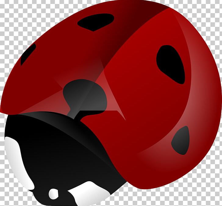 Beetle Ladybird Pixabay PNG, Clipart, Animal, Animals, Bicycle Helmet, Computer Wallpaper, Crawl Free PNG Download