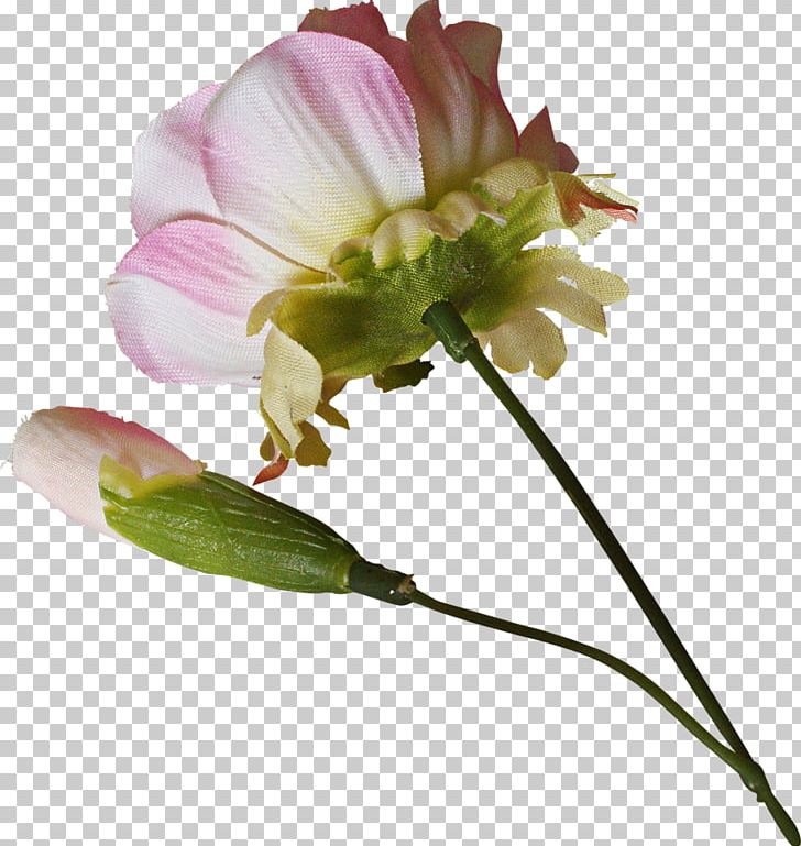Cut Flowers Alstroemeriaceae Lily Of The Incas Bud PNG, Clipart, Alstroemeriaceae, Bud, Cut Flowers, Flower, Flowering Plant Free PNG Download