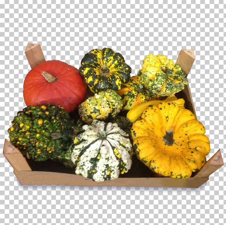 Gourd Calabaza Winter Squash Vegetarian Cuisine Cucurbita PNG, Clipart, Cucumber Gourd And Melon Family, Cucurbita, Floral Design, Flowerpot, Food Free PNG Download