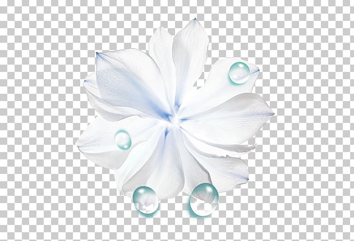 Liquid Flower Drop PNG, Clipart, Art, Big, Big Flower, Computer Wallpaper, Drop Free PNG Download