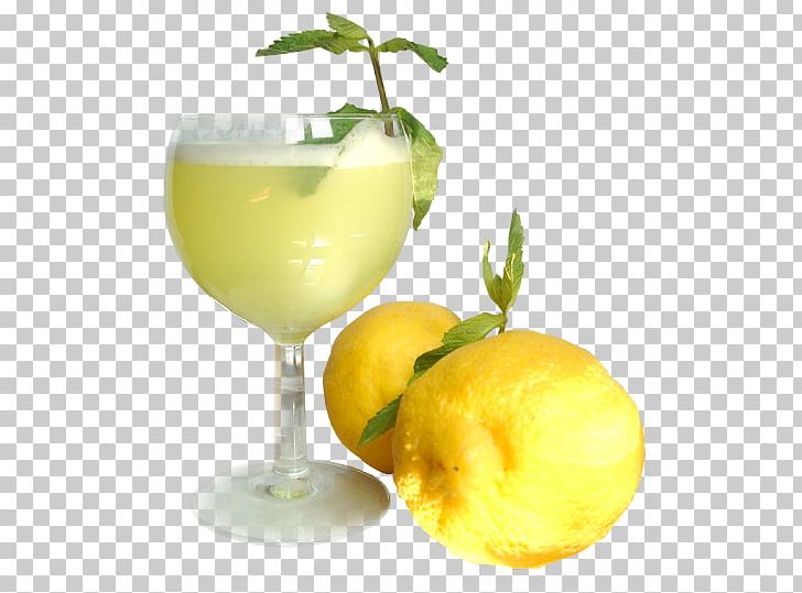 Orange Juice Cocktail Smoothie Drink PNG, Clipart, Citric Acid, Citrus, Cocktail Garnish, Cup, Diet Food Free PNG Download