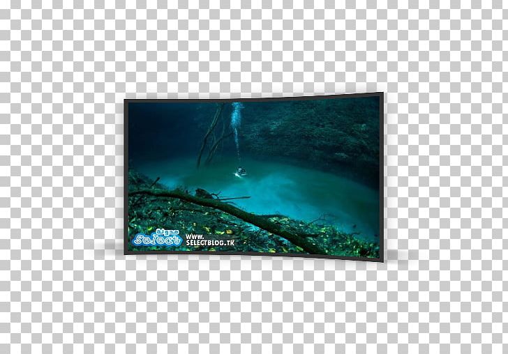 Underwater River Cenote Manatí Ocean PNG, Clipart, Aqua, Brine, Cenote, Earth, Hydrogen Sulfide Free PNG Download