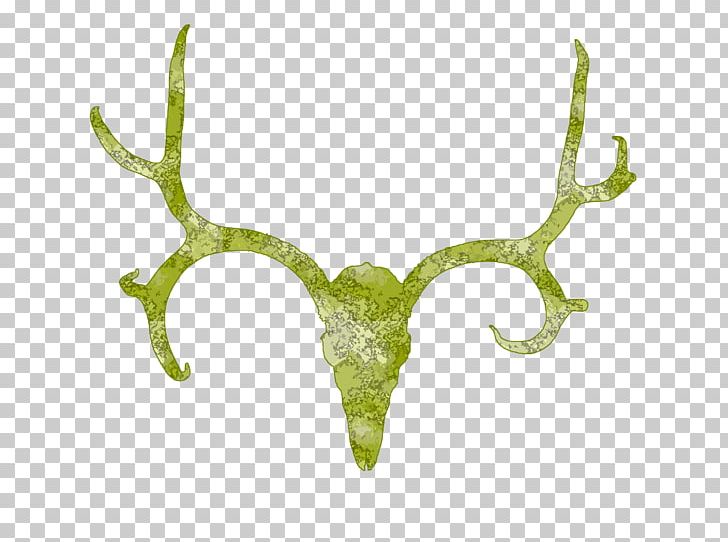 White-tailed Deer Antler Skull PNG, Clipart, Antler, Clipart, Clip Art, Decal, Deer Free PNG Download