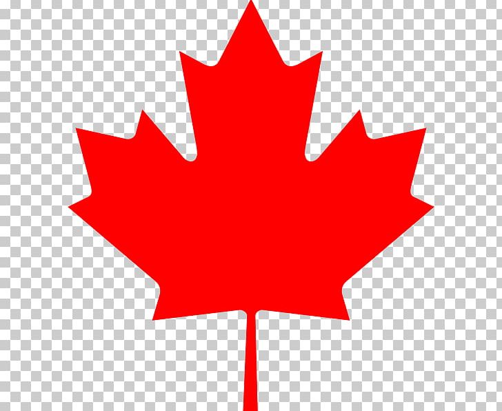 Flag Of Canada Maple Leaf Sugar Maple PNG, Clipart, Canada, Flag, Flag Of Canada, Flower, Flowering Plant Free PNG Download