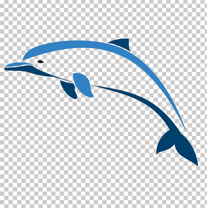Oceanic Dolphin Porpoise PNG, Clipart, Animals, Art, Beak, Bird, Blowhole Free PNG Download