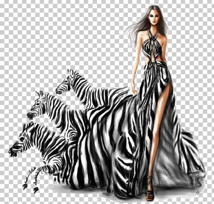 Zebra Creativity PNG, Clipart, Animals, Big Cats, Black And White, Fashion, Fashion Design Free PNG Download