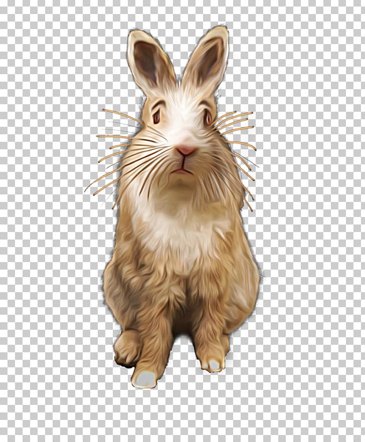 Domestic Rabbit Hare Whiskers Art PNG, Clipart, Abstract, Animals, Art, Creative Fig, Domestic Rabbit Free PNG Download