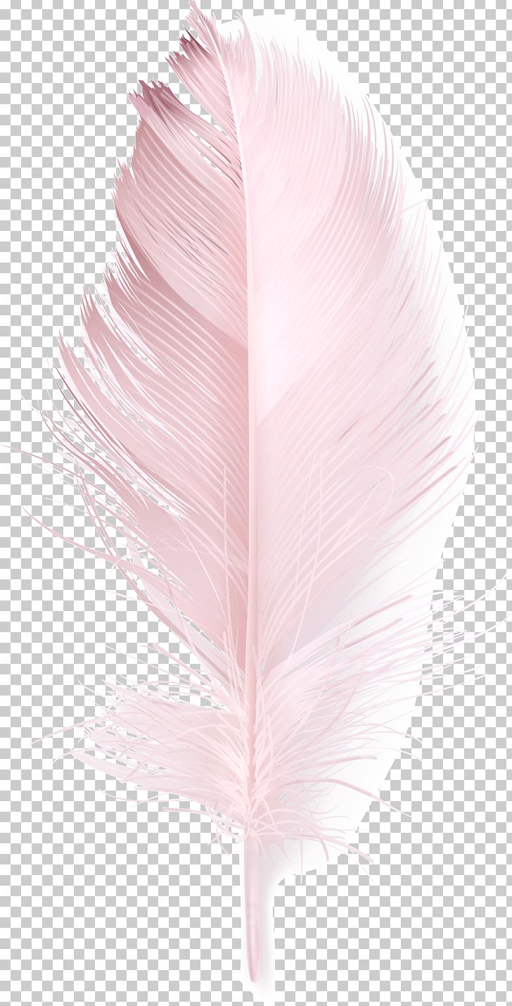 Feather Pink Duck PNG, Clipart, Animal, Animal Hair, Decorative Patterns, Download, Duck Free PNG Download