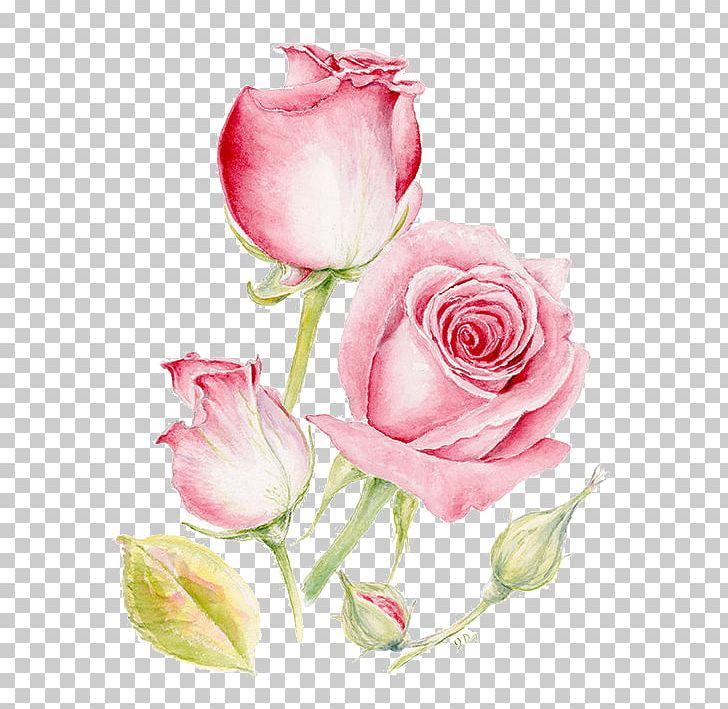 Pink Flowers Painting Printmaking PNG, Clipart, Art, Beautiful, Bud, Cut Flowers, Floribunda Free PNG Download