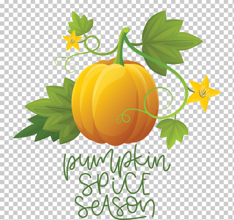 Autumn Pumpkin Spice Season Pumpkin PNG, Clipart, Animation, Autumn, Caricature, Cartoon, Cover Art Free PNG Download